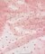 Pink Pearl Tulle Fabric by the Yard, 60" Wide Soft Pearl Scattered Mesh